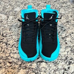 Rare Black and Hyper Jade Air Jordan 12!